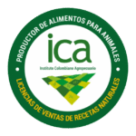 ICAA