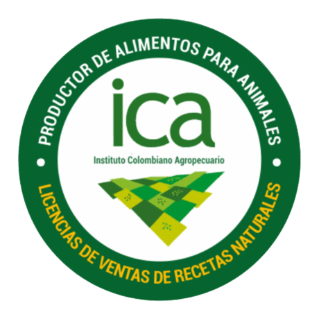 ICAA